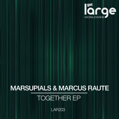 Marsupials & Marcus Raute I Don't Want You (preview)