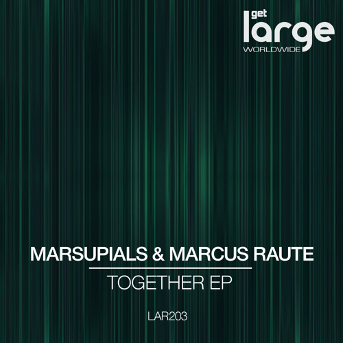 Marsupials & Marcus Raute I Don't Want You (preview)