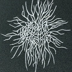 Astral Ascendancy