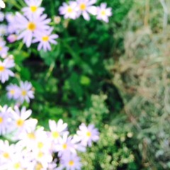 ニーナの為に/ART-SCHOOL(cover)