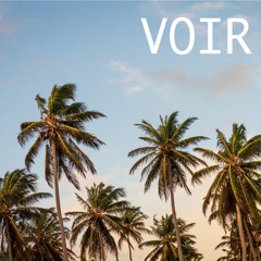 Voir