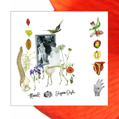 "A New View" by Manett