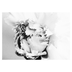 DISSOLVE Feat. The Last Artful, Dodgr