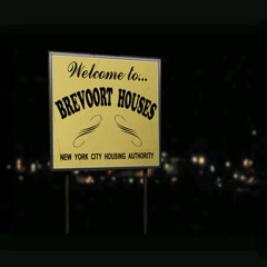 Say Yes x Lucyy Flawless  at Bed Stuy, Brooklyn NY