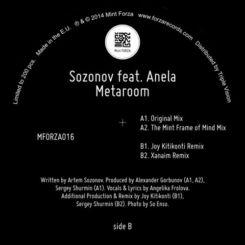 Sozonov feat. Anela - Metaroom