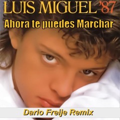 Luis Miguel - Ahora te puedes marchar (Dario Freije Remix 1996) [FREE DOWNLOAD]