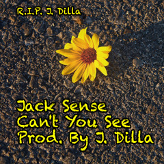 Can't You See (Produced By J.Dilla)