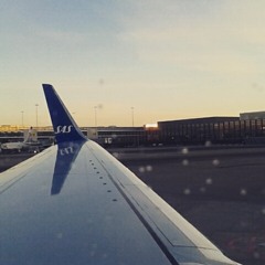 Demian Rice - Blowers Daughter (Cover)