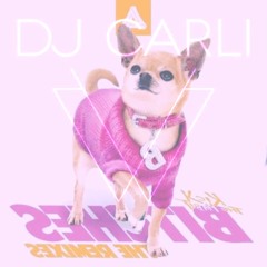 Kick The Habit & Kill Rex - Bitches - (Carli V DnB Edit)