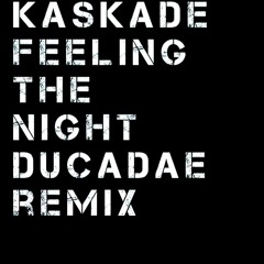 Kaskade - Feeling The Night (ducadae remix)