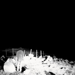 Amigo The Devil & Godhunter "Weeping Willow"