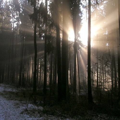 Zeitlos   (Dj Mix 2013)