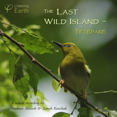 The Last Wild Island, Tetepare - Album sample
