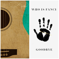 Goodbye - Who is Fancy