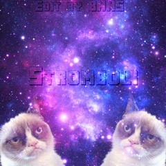 AR the Bushmaster - Stromboli