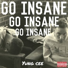 Go Insane (prod. Steezy Beatz)