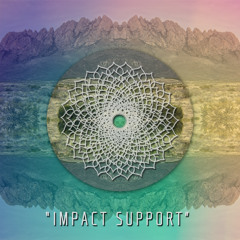 IMPACT SUPPORT