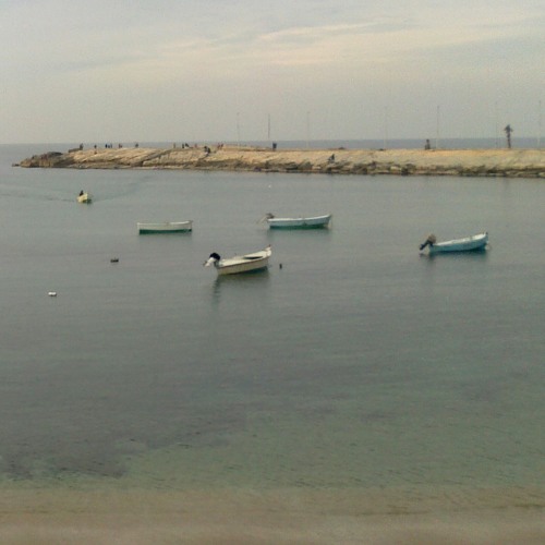منصف  و حمو  بيكا