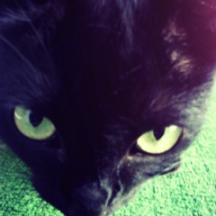 Grem - ZOŁZY (prod. Hakim)