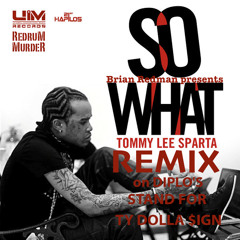 So What Remix Tommy Lee