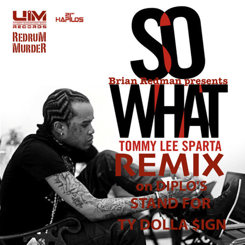 So What Remix Tommy Lee