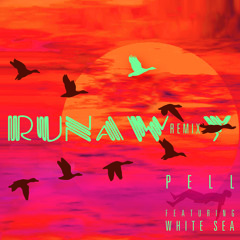 Runaway (feat. White Sea) [Remix]