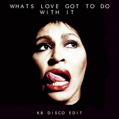 Tina Turner - What's Love Got To Do With It (KB Disco Edit)