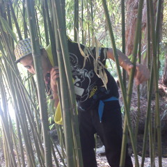 Parralel Thoughts - Twiggz prod. woodrophenia