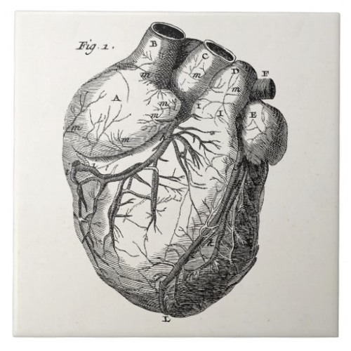 Stream Anatomía de la melancolía 9 marzo 2015 by CCD Radio Listen