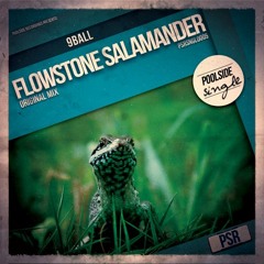 9Ball - Flowstone Salamander (Original Mix)