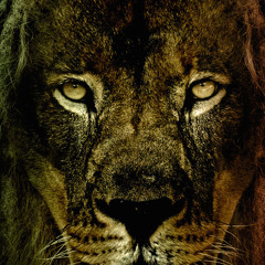 The Specials/Tide is High Mash up