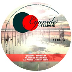 Queemose - Promise (JammHot Remix) (Clip)