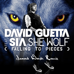 David Guetta ft. Sia - She Wolf (JNNK Remix)