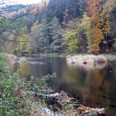 Moravice (Vs Audiofade)(FREE DOWNLOAD)