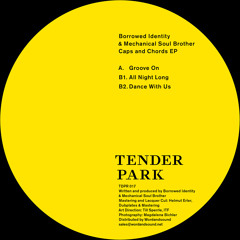 Borrowed Identity & Mechanical Soul Brother - Dance With Us - Tenderpark