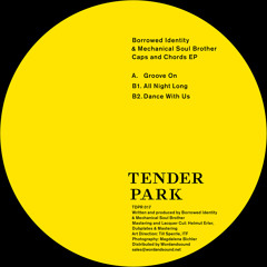 Borrowed Identity & Mechanical Soul Brother - All Night Long - Tenderpark