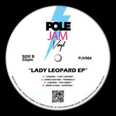 A1 - Cassara - "Lady Leopard" - OUT NOW!