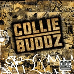 Blind To You (Collie Buddz) - HitFiend Remix - Out Now On TFA 001
