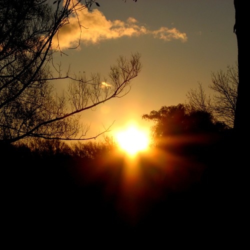 The Dying Of The Light (NGHFB Cover)