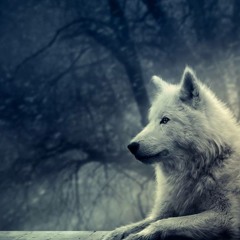 Saeed & Palash - Watching You (Original Mix)