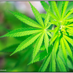 Jenny - (Produced By KaeceOnDaBeat)