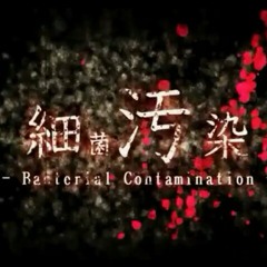 Bacterial Contamination (Calne Ca)