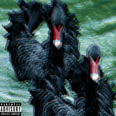 Liam Hope & TM - 2K5 (Exclusive)