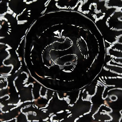 I Spend The Best Part Of My Time