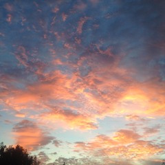 Blue Jays (days n' daze cover)