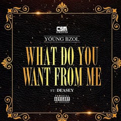 What Do You Want From Me ft Deasey