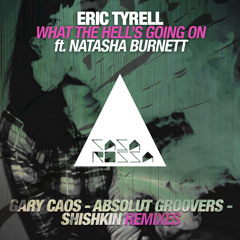 Eric Tyrell feat. Natasha Burnett - What The Hell's Going On (Shishkin Remix)