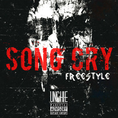 Song Cry Freestyle