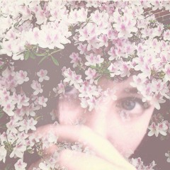 I Wish I Could Eat Your Cancer