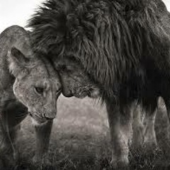 Don't Forget Me (Prod. By Self Devine)